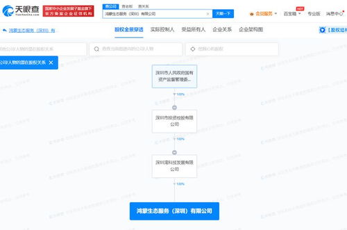 國(guó)資入局鴻蒙生態(tài) 深投控成立專業(yè)服務(wù)公司，強(qiáng)化數(shù)據(jù)處理與存儲(chǔ)能力